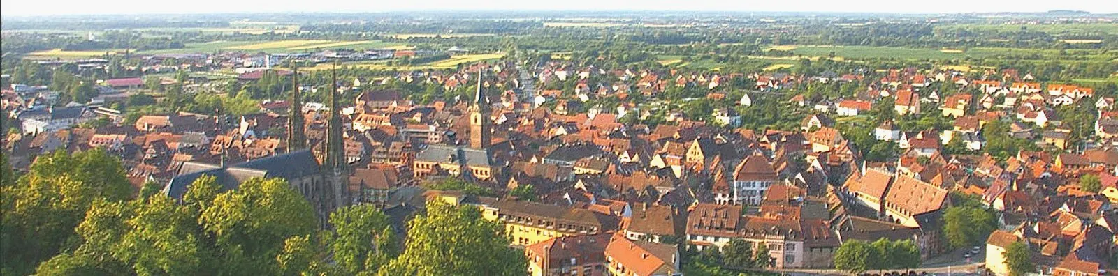 Vue d'Obernai et de ses toits depuis les hauteurs
